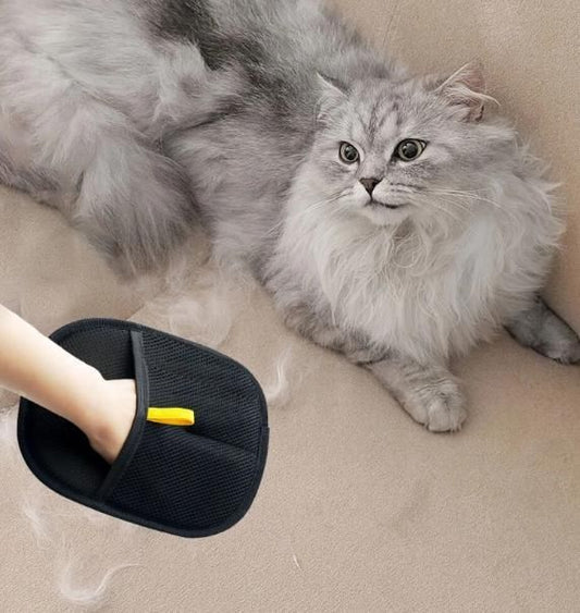 🐾Pet Hair Removal Gloves🐾
